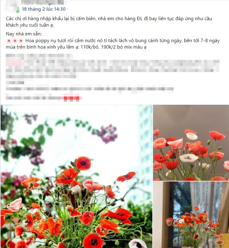 Chị em rộ mốt chơi hoa poppy kiều diễm, chưa tới 200k là được bình hoa đẹp &quot;ngây ngất&quot; - Ảnh 14.