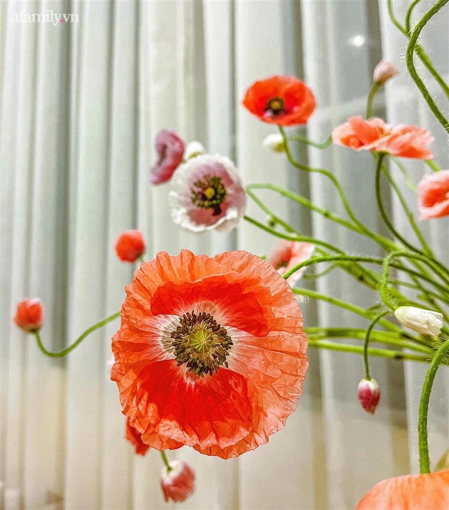 Chị em rộ mốt chơi hoa poppy kiều diễm, chưa tới 200k là được bình hoa đẹp &quot;ngây ngất&quot; - Ảnh 4.