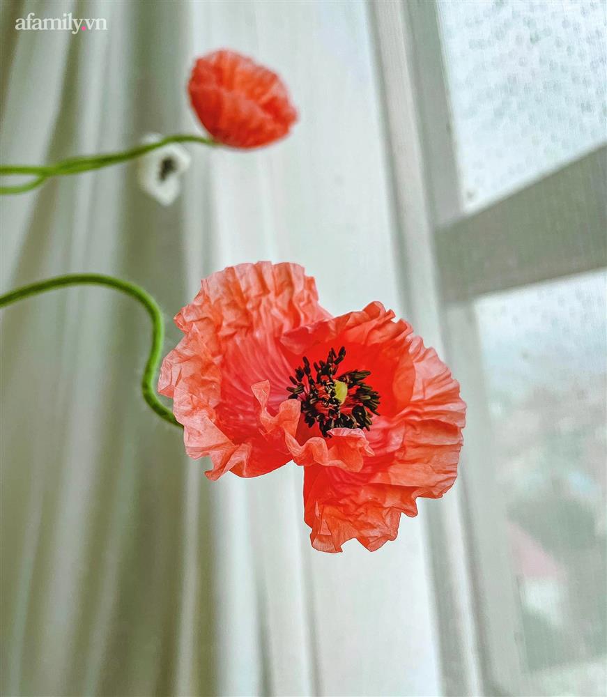 Chị em rộ mốt chơi hoa poppy kiều diễm, chưa tới 200k là được bình hoa đẹp &quot;ngây ngất&quot; - Ảnh 9.