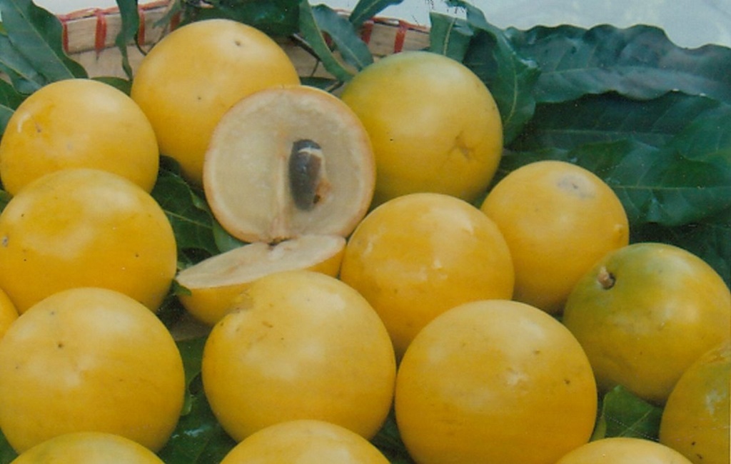 Hết thời hoàng kim, loại trái cây 'sang chảnh' gần triệu đồng/kg giờ rẻ ngang hàng chợ - Ảnh 2.
