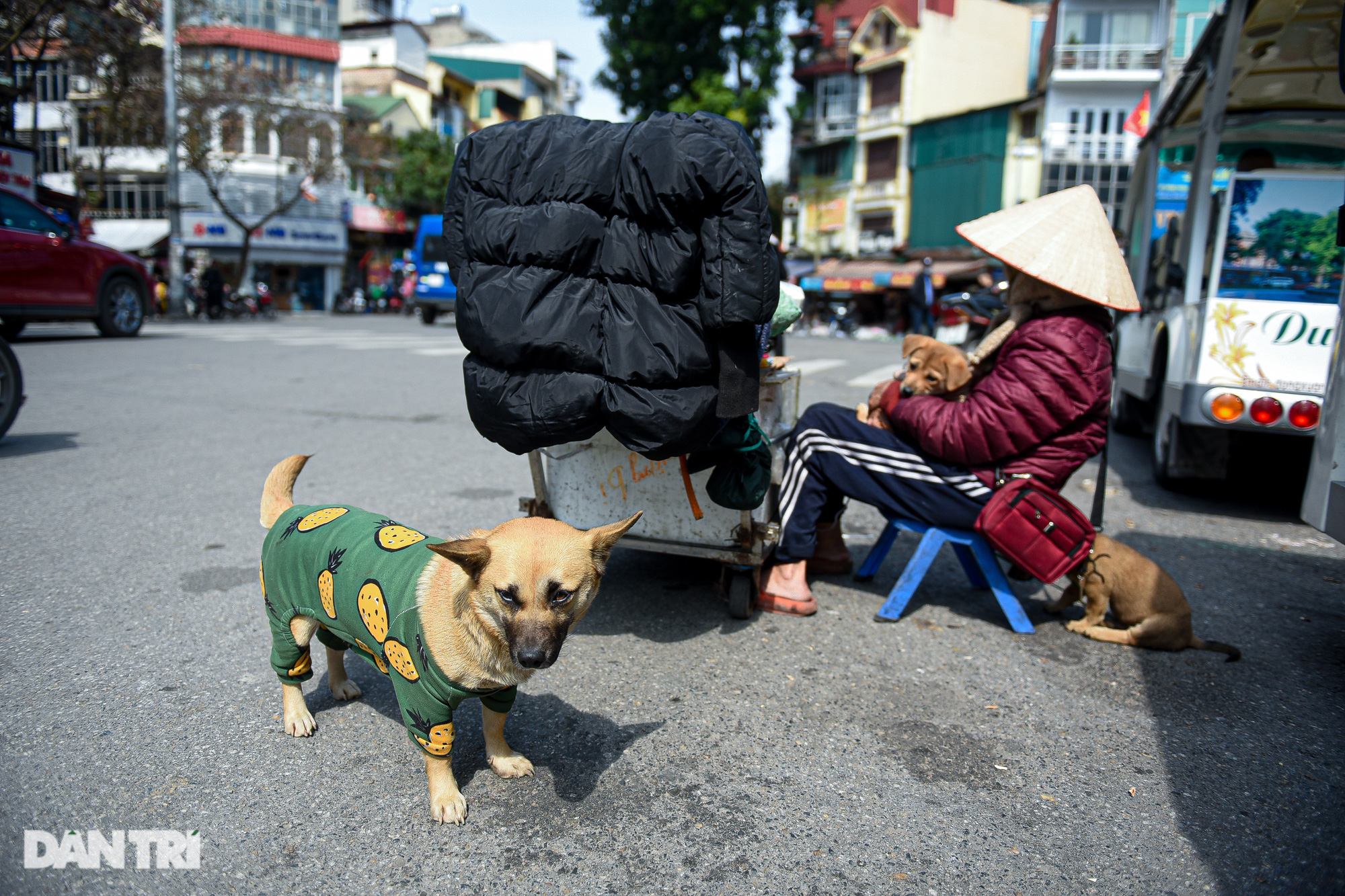 Cụ bà 101 tuổi ôm đàn chó đi nhặt rác, bán hàng rong trong rét buốt Hà Nội - Ảnh 6.