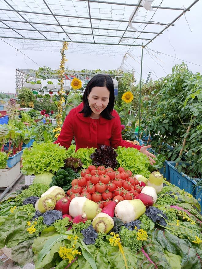 Nữ giáo viên mê trồng rau, về quê chở đất lên phố làm vườn sân thượng - Ảnh 3.