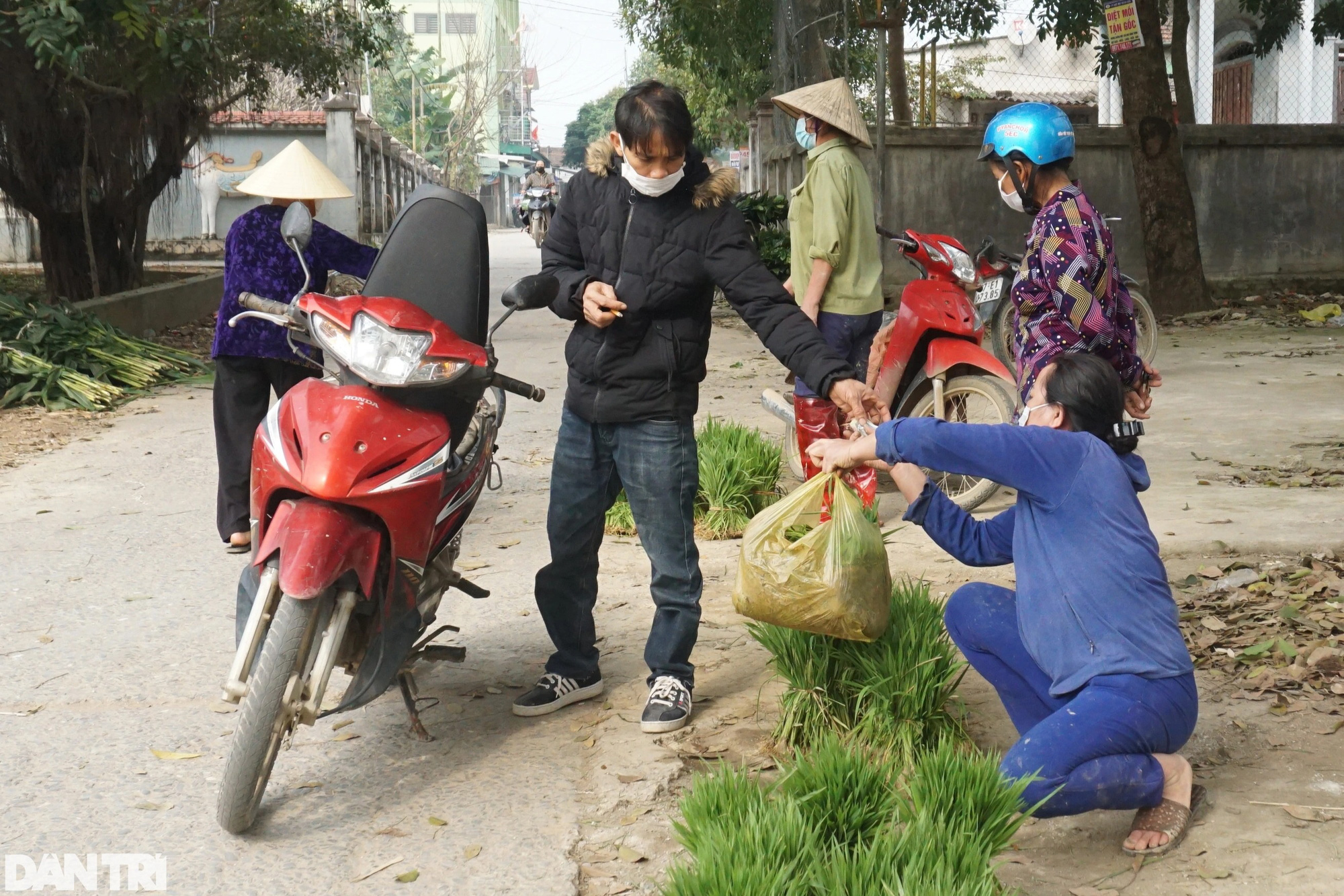 Nhổ lúa non bán như rau, nông dân "bỏ túi" cả trăm ngàn đồng mỗi ngày - Ảnh 11. Nhổ lúa non bán như rau, nông dân "bỏ túi" cả trăm ngàn đồng mỗi ngày - Ảnh 11.