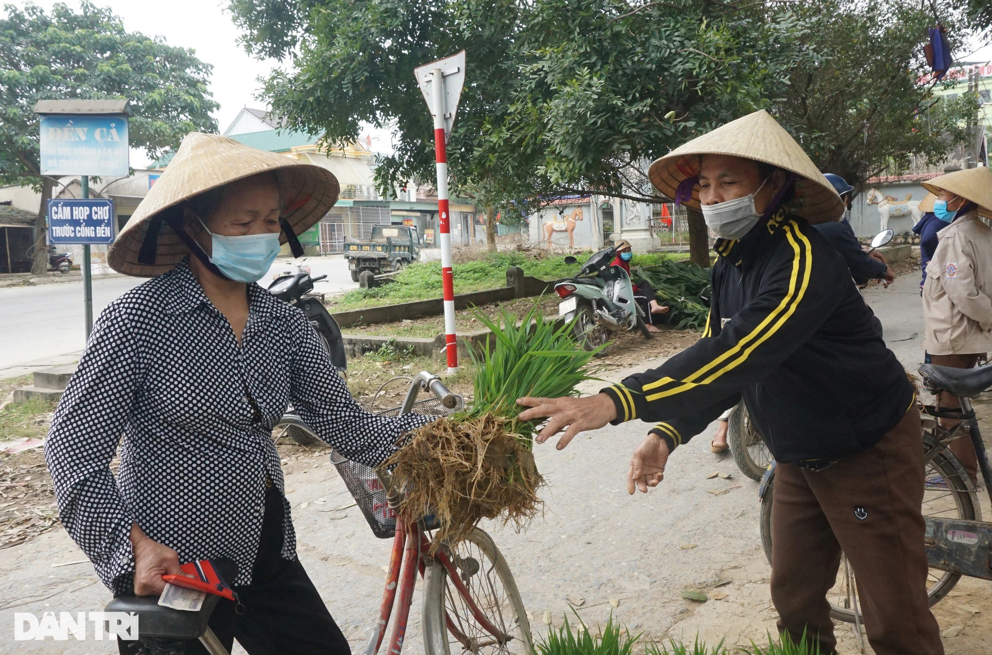 Nhổ lúa non bán như rau, nông dân "bỏ túi" cả trăm ngàn đồng mỗi ngày - Ảnh 9. Nhổ lúa non bán như rau, nông dân "bỏ túi" cả trăm ngàn đồng mỗi ngày - Ảnh 9.