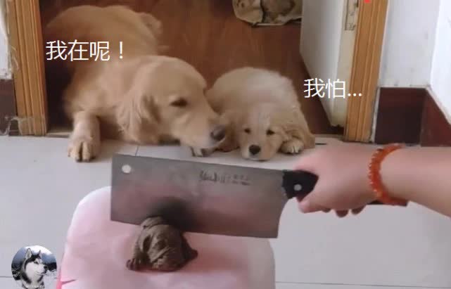 - Ảnh 3. - Ảnh 3.
