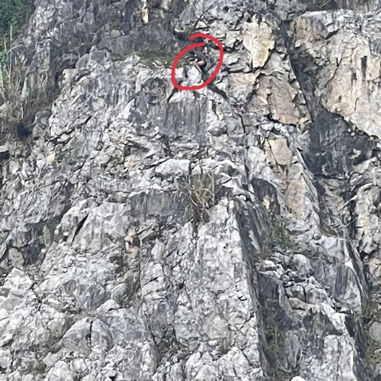 Giải cứu thanh ni&ecirc;n đu b&aacute;m tr&ecirc;n v&aacute;ch n&uacute;i đ&aacute; lởm chởm, dựng đứng - Ảnh 1.