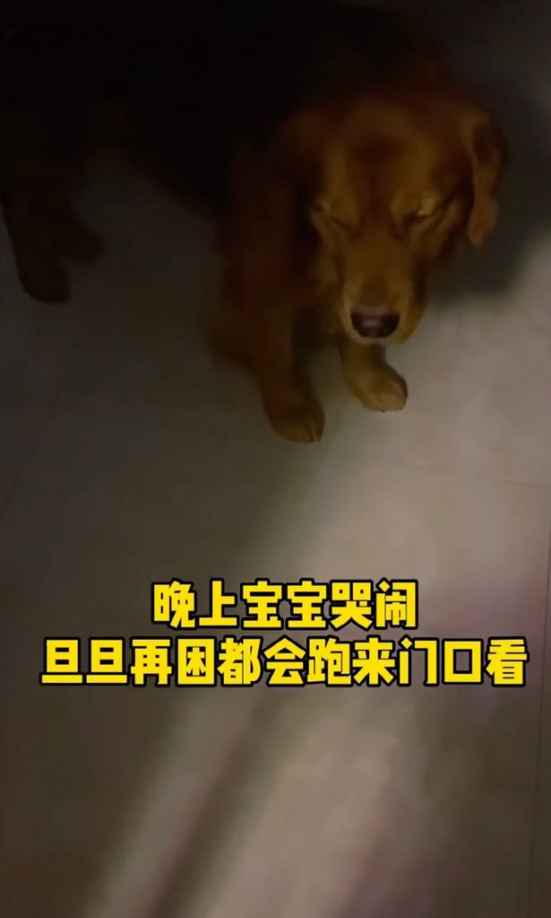 - Ảnh 1. - Ảnh 1.