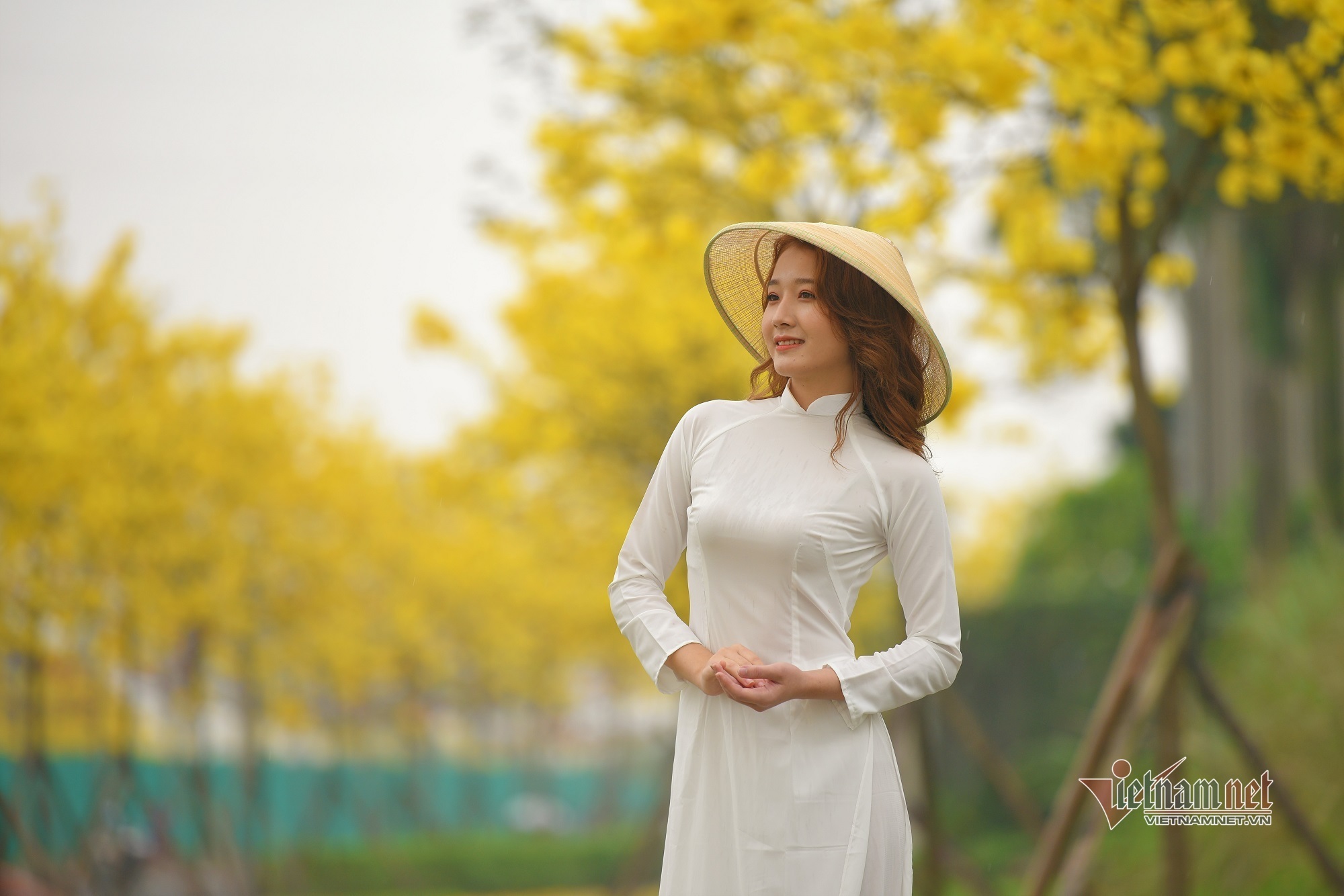 Chị em Hà Nội xúng xính váy áo ‘check in’ đường vàng rực hoa phong linh - Ảnh 2.