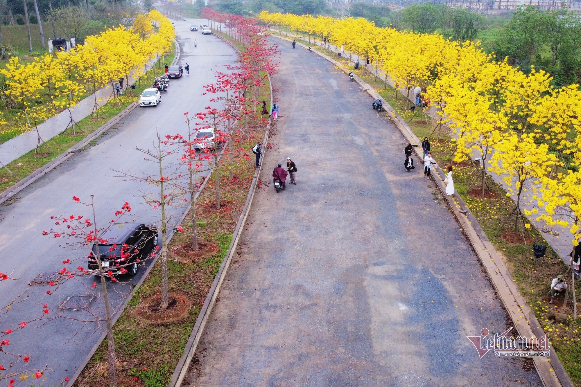 Chị em Hà Nội xúng xính váy áo ‘check in’ đường vàng rực hoa phong linh - Ảnh 1.