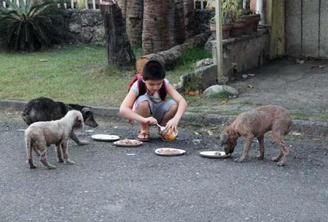 Con trai trộm đồ ăn mang ra ngoài suốt 2 tuần, bố lén theo dõi thì thấy cảnh tượng khó tin - Ảnh 2.