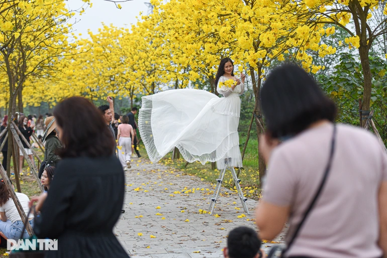 Vườn hoa phong linh gây &quot;sốt&quot; ở Hà Nội dừng đón khách chụp ảnh - Ảnh 2.