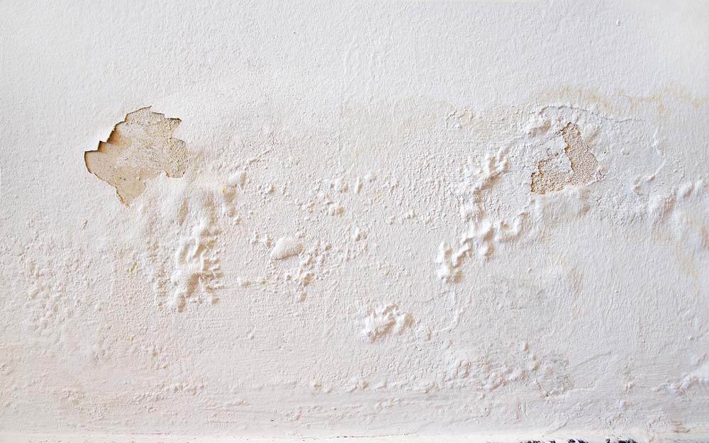 Tường bong tróc không hẳn là chỉ do độ ẩm, áp dụng ngay những cách sau để loại bỏ chúng triệt để, trả lại ngôi nhà đẹp đẽ - Ảnh 3.
