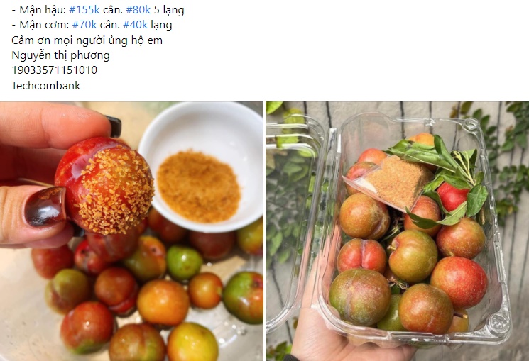 Mận đầu mùa đắt đỏ, giá vài trăm nghìn đồng/kg vẫn được vét sạch - Ảnh 6.