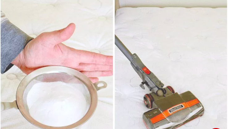 Bí quyết dọn dẹp nhà cửa siêu sạch, lại tiết kiệm thời gian và tiền bạc có thể học được từ thế hệ đi trước - Ảnh 1. Bí quyết dọn dẹp nhà cửa siêu sạch, lại tiết kiệm thời gian và tiền bạc có thể học được từ thế hệ đi trước - Ảnh 1.