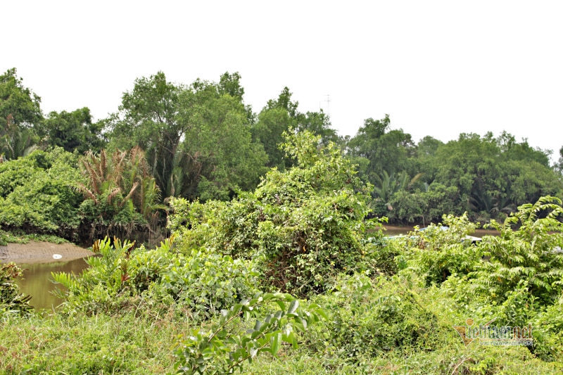 Tình sử bi thương trên khúc sông nhiều người gặp nạn ở Long An - Ảnh 5.