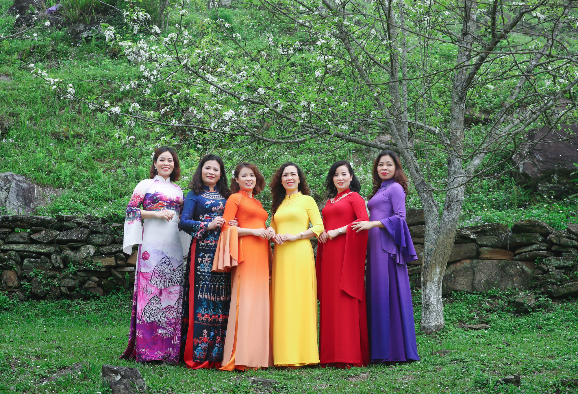 NTK Hoàng Ly khoe vẻ đẹp áo dài ở vườn hoa lê Tuyên Quang