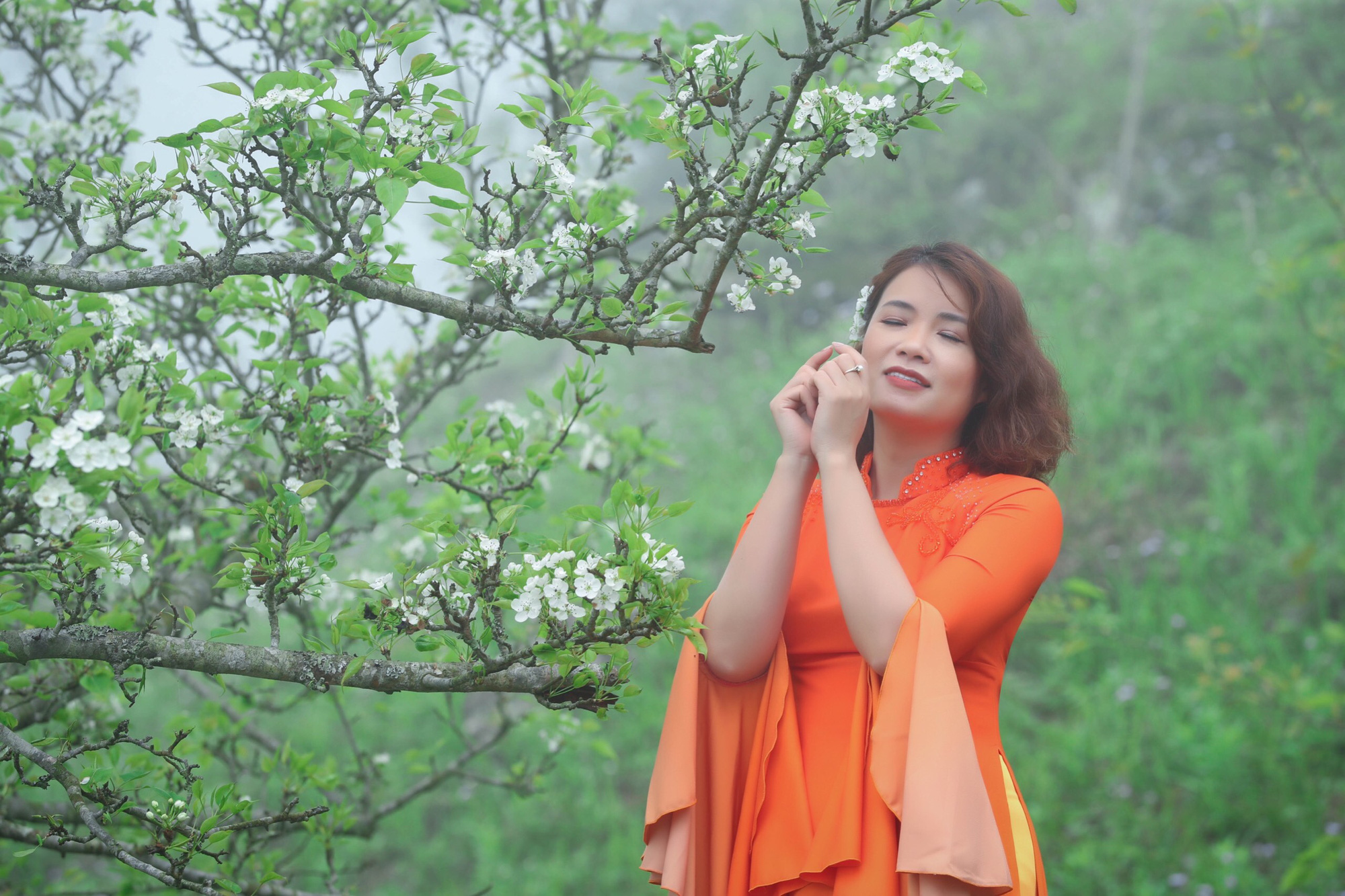 NTK Hoàng Ly khoe vẻ đẹp áo dài ở vườn hoa lê Tuyên Quang