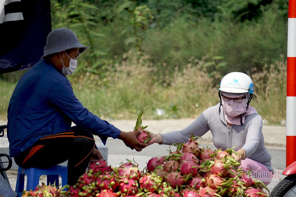 Dưa hấu 5 nghìn, thanh long 8 nghìn: Phơi nắng vỉa hè chờ giải cứu - Ảnh 15.