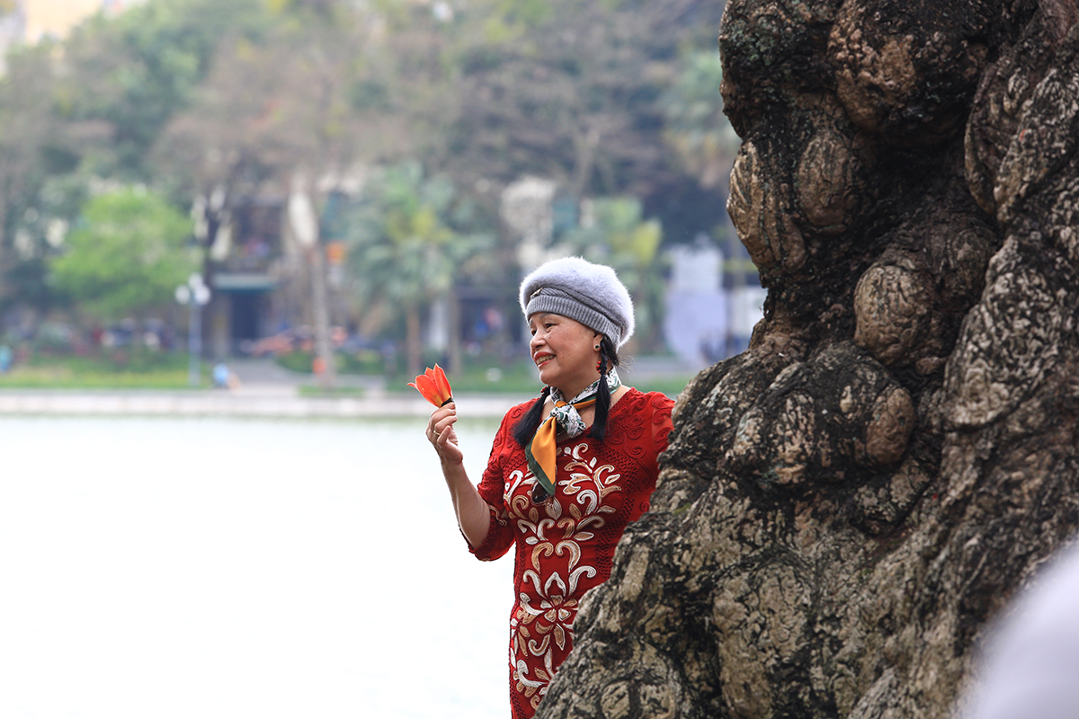 Người dân Hà Nội thích thú check in với cây gạo cổ thụ bên hồ Gươm - Ảnh 13.