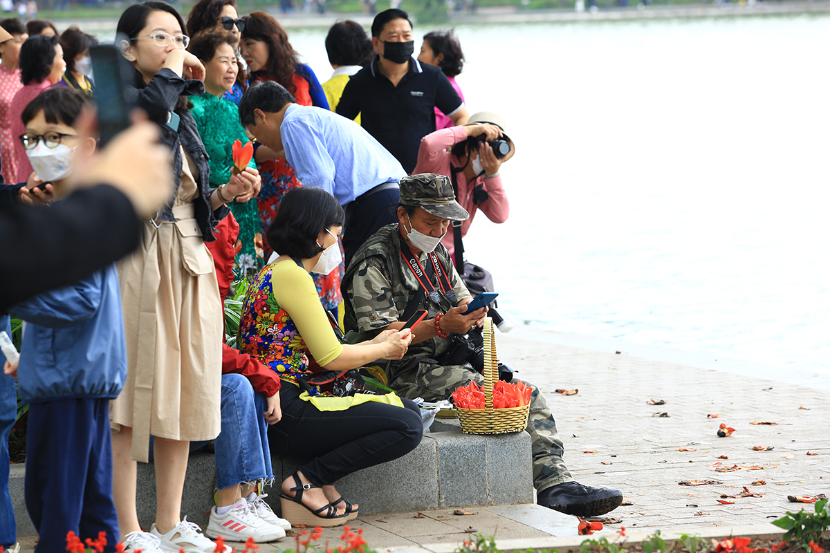 Người dân Hà Nội thích thú check in với cây gạo cổ thụ bên hồ Gươm - Ảnh 6.