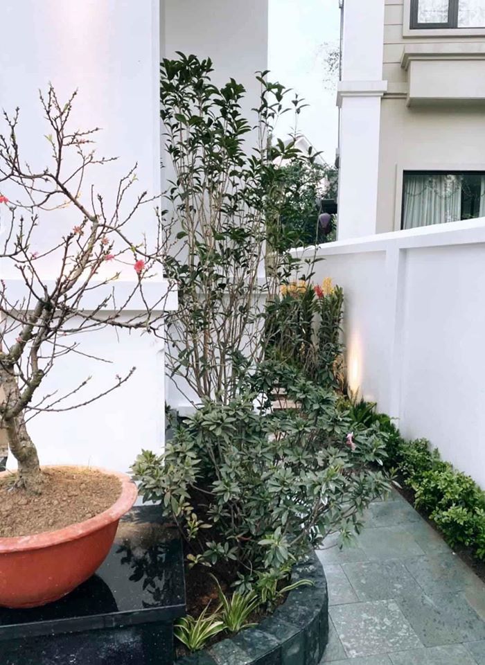 Lộ diện cơ ngơi tiếp theo của Hằng túi, chuẩn đẳng cấp 'phú bà'- Ảnh 11.