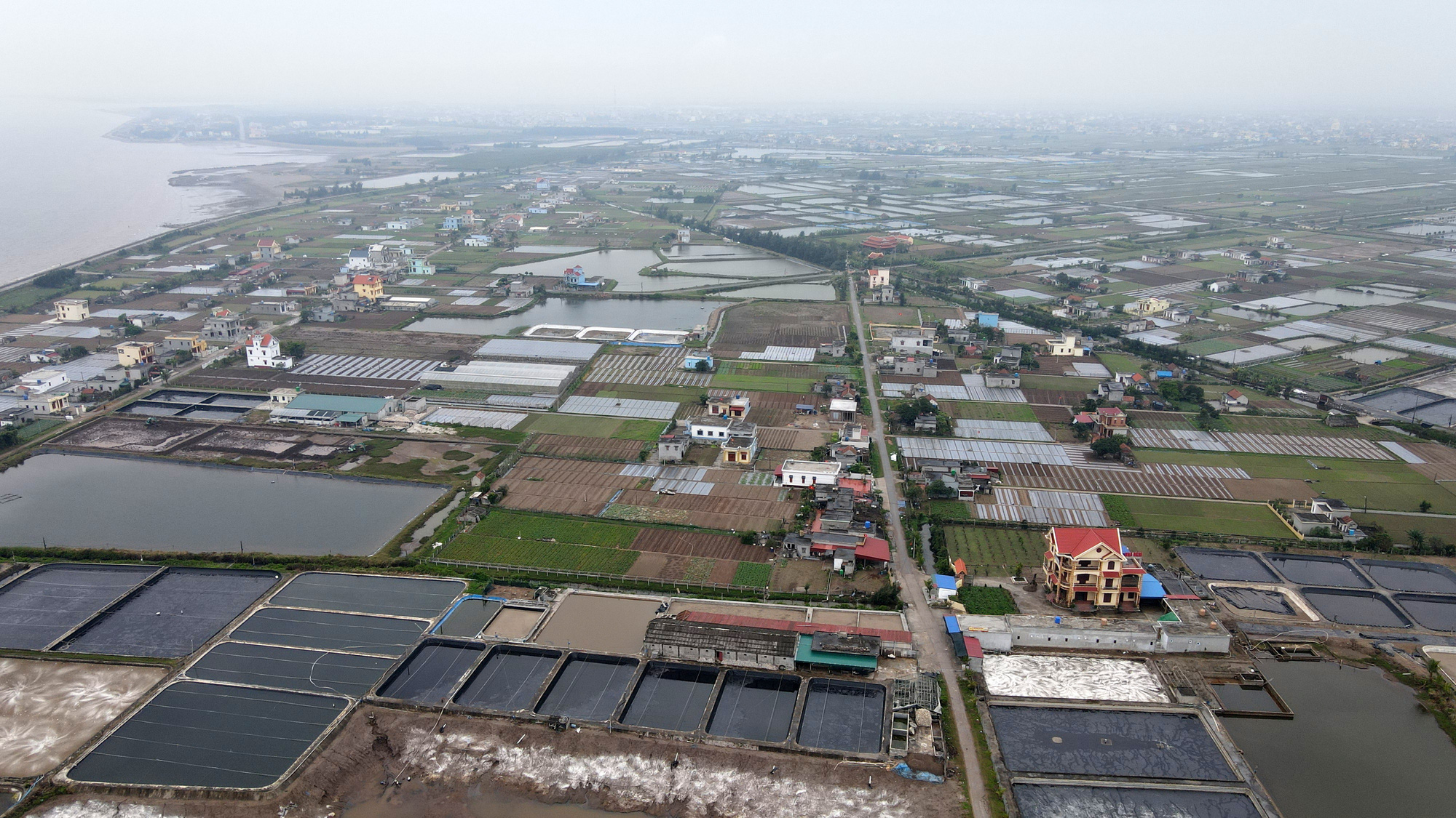 Lão nông bất ngờ thành 'tỷ phú' và chuyện nhà đầu tư liên tục 'luộc' đất nông thôn - Ảnh 2.