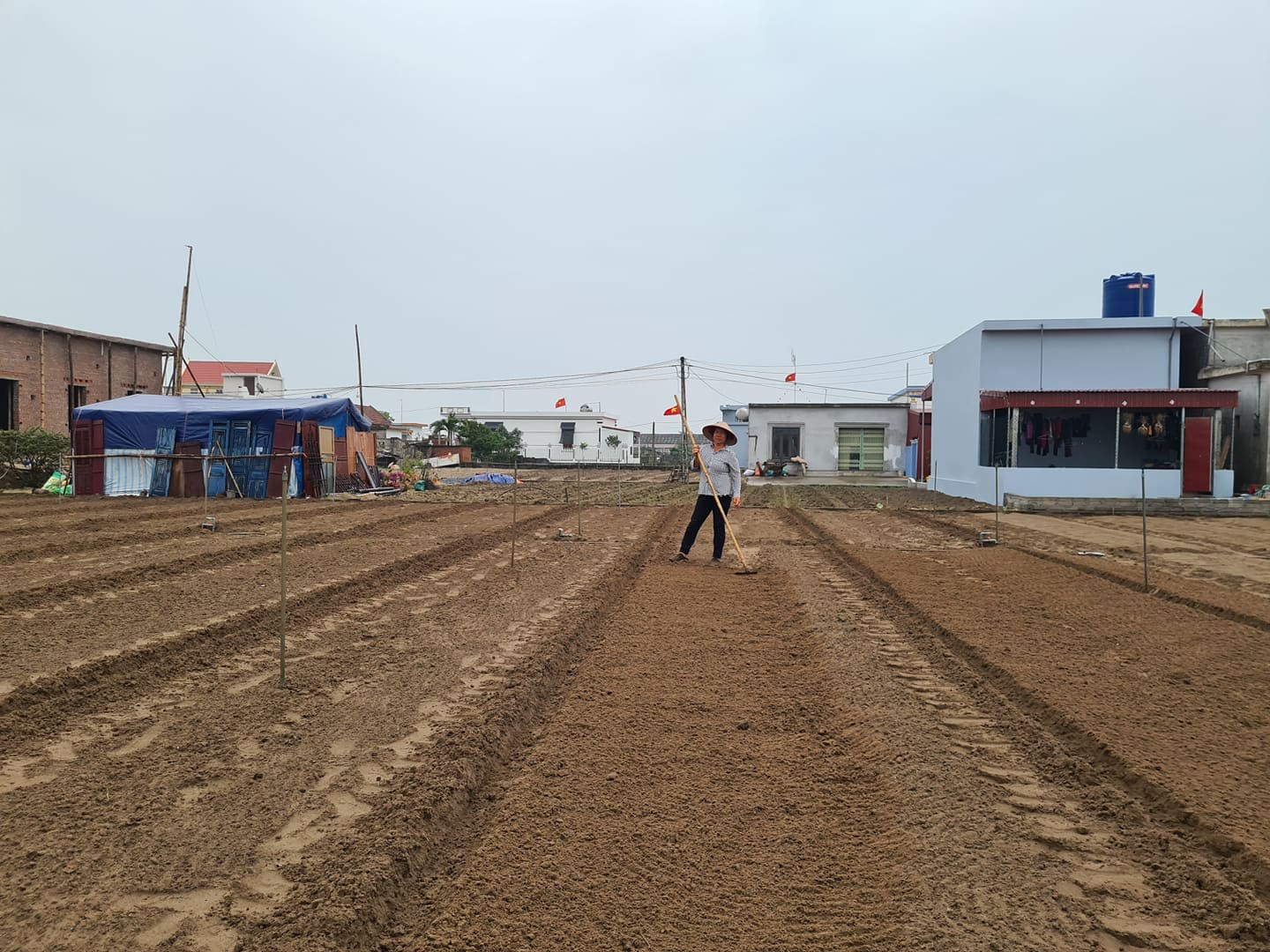 Lão nông bất ngờ thành 'tỷ phú' và chuyện nhà đầu tư liên tục 'luộc' đất nông thôn - Ảnh 1.