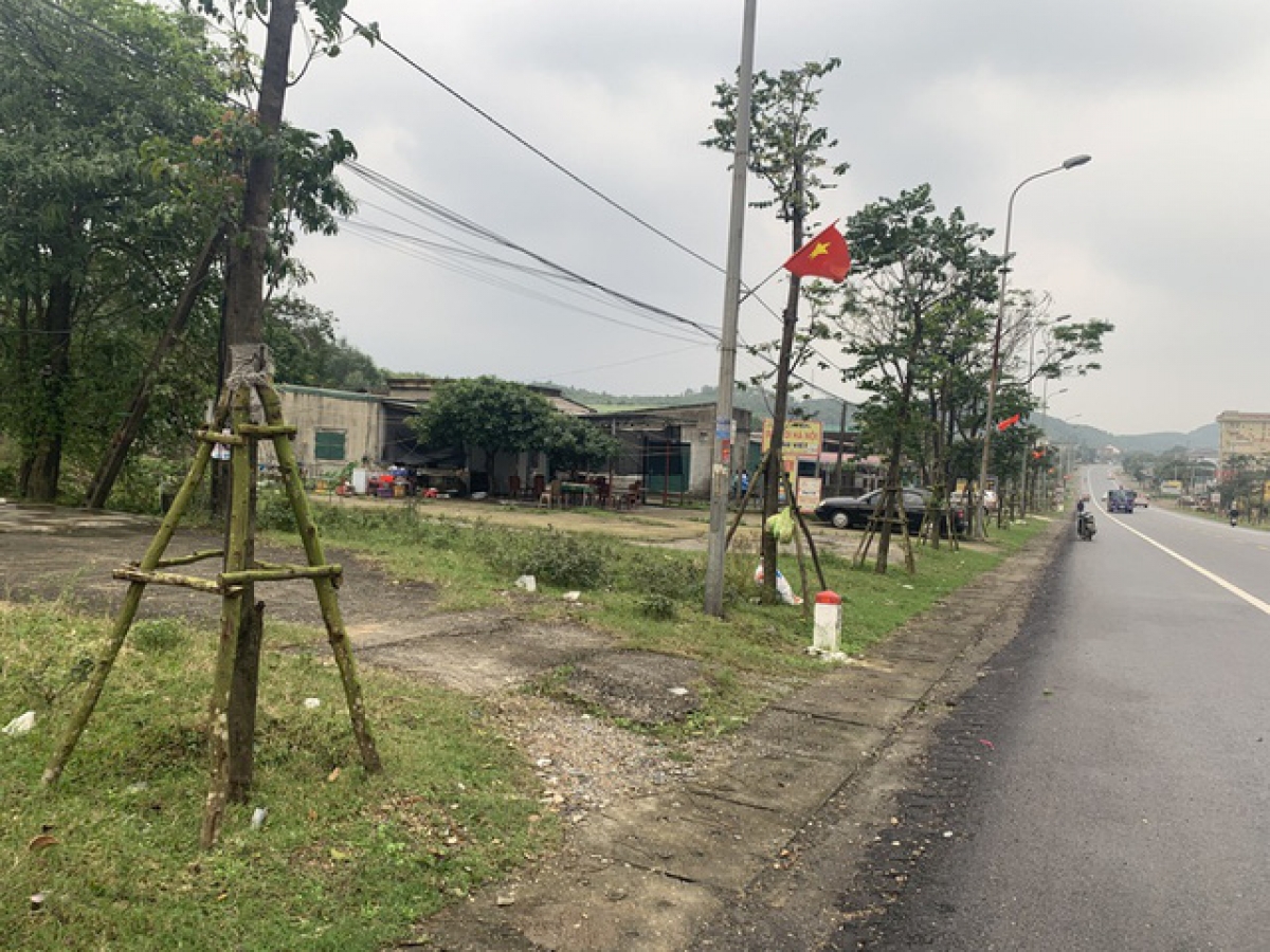 'Bội thực' đấu giá đất, sẵn sàng 'bỏ cọc chạy lấy người' - Ảnh 2.