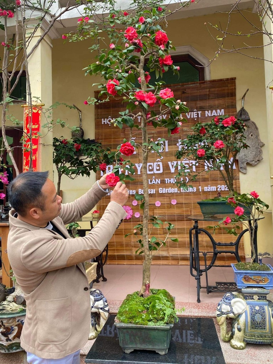 con-sot-tra-my-nhu-lan-dot-bien-lang-nghe-trong-hoa-dieu-dung