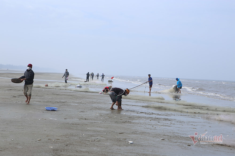 Chờ nắng l&ecirc;n, chiều ra biển 'đ&atilde;i c&aacute;t' kiếm tiền triệu - Ảnh 1.