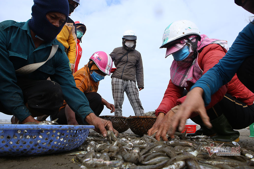 Chờ nắng l&ecirc;n, chiều ra biển 'đ&atilde;i c&aacute;t' kiếm tiền triệu - Ảnh 5.