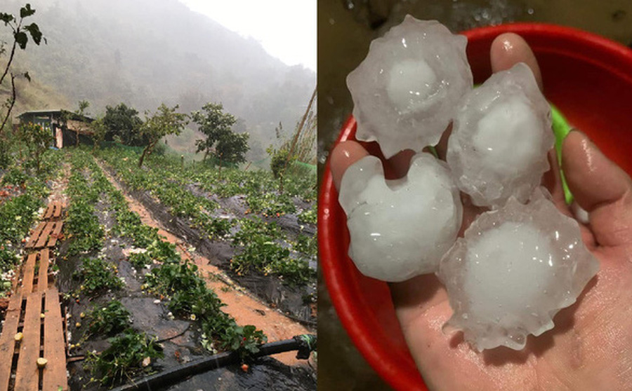 Sơn La: Hàng loạt nhà dân bị thủng mái sau trận mưa đá &quot;to như quả trứng&quot; - Ảnh 1.