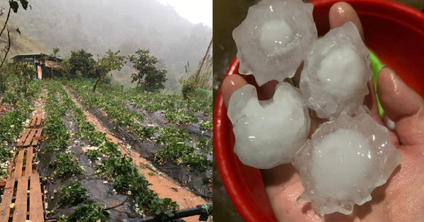 Sơn La: Hàng loạt nhà dân bị thủng mái sau trận mưa đá 'to như quả trứng'