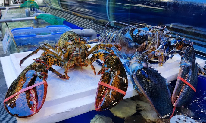 T&ocirc;m h&ugrave;m xanh ngọc b&iacute;ch si&ecirc;u hiếm xuất hiện ở Việt Nam - Ảnh 2.