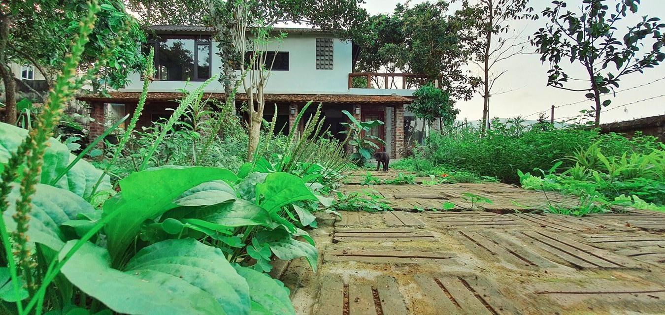 Ngôi nhà ‘thuận tự nhiên’ ở vùng núi Hòa Bình, nội thất làm từ đồ bỏ đi - Ảnh 21.