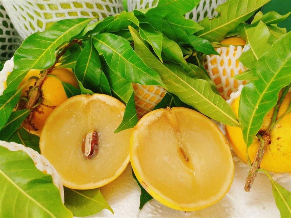 Vú sữa hoàng kim gần 200k/kg khiến chị em tò mò đặt mua tới tấp - Ảnh 2. Vú sữa hoàng kim gần 200k/kg khiến chị em tò mò đặt mua tới tấp - Ảnh 2.