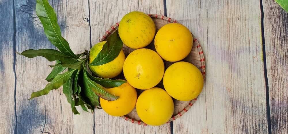 Vú sữa hoàng kim gần 200k/kg khiến chị em tò mò đặt mua tới tấp - Ảnh 4. Vú sữa hoàng kim gần 200k/kg khiến chị em tò mò đặt mua tới tấp - Ảnh 4.