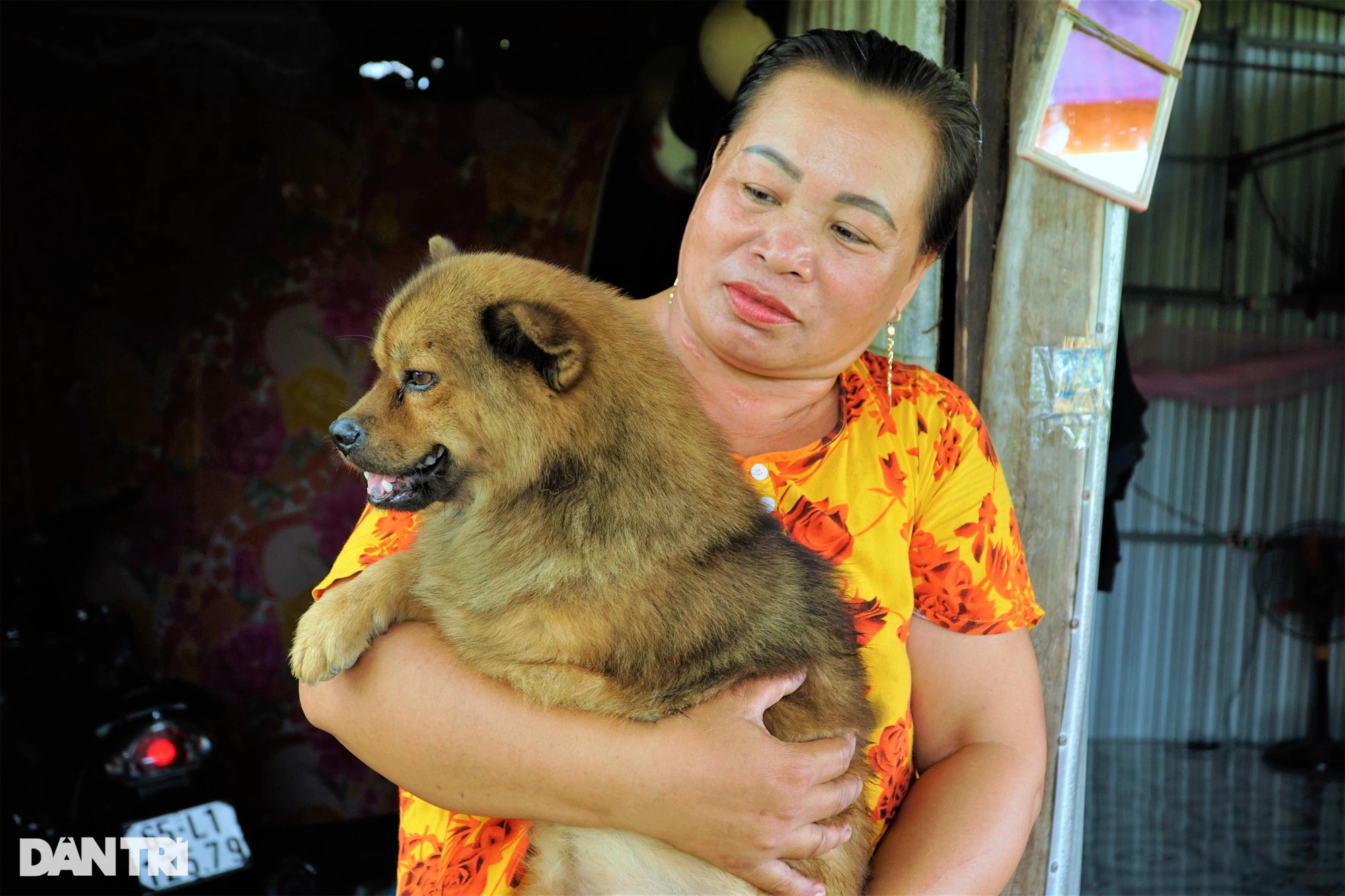 Cưu mang chú chó 3 chân không ngờ chú chó cứu sống chủ khỏi cửa tử - Ảnh 2.