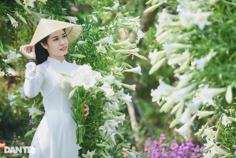 Chị em H&agrave; th&agrave;nh "chịu chơi", chi tiền triệu "săn ảnh" hoa loa k&egrave;n - Ảnh 8.