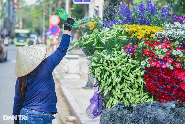 Chị em H&agrave; th&agrave;nh "chịu chơi", chi tiền triệu "săn ảnh" hoa loa k&egrave;n - Ảnh 6.