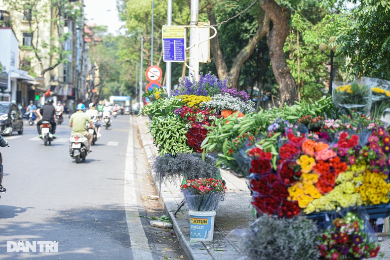 Chị em H&agrave; th&agrave;nh "chịu chơi", chi tiền triệu "săn ảnh" hoa loa k&egrave;n - Ảnh 1.