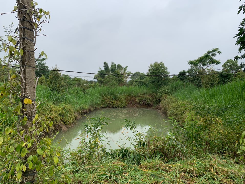 Lao xuống ao cứu em, 2 học sinh chết đuối thương t&acirc;m - Ảnh 1.