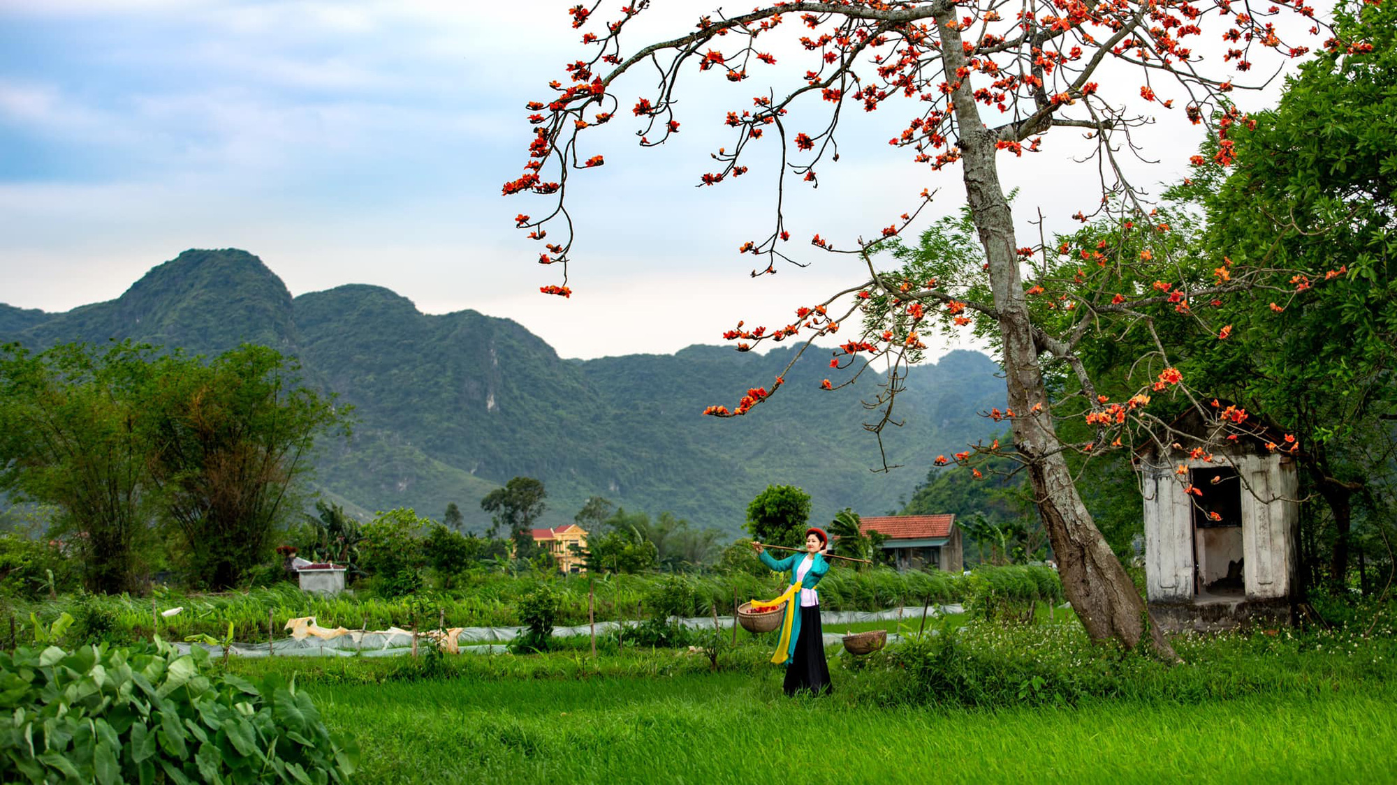 Tổng hợp 106+ hình nền đẹp đồng quê hay nhất - Tin học Đông Hòa