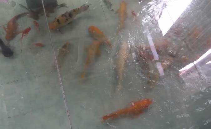Biệt thự &quot;hoàng gia&quot; có hồ cá ở phòng ăn của Hồ Quỳnh Hương - Ảnh 20.
