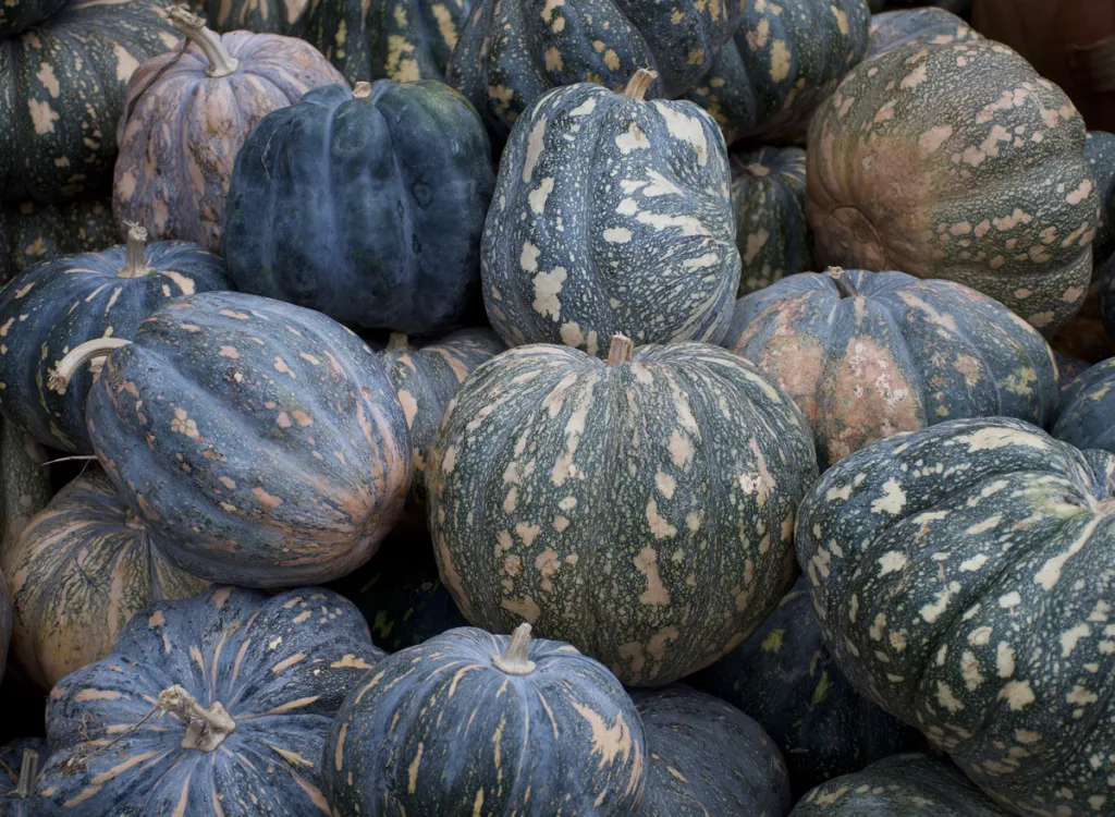 Loại rau được t&ocirc;n l&agrave; rau trường thọ, những người sống l&acirc;u nhất thế giới ăn thường xuy&ecirc;n, ở Việt Nam h&oacute;a ra kh&ocirc;ng thiếu, c&ograve;n l&agrave; si&ecirc;u thực phẩm l&agrave;m đẹp da - Ảnh 5.