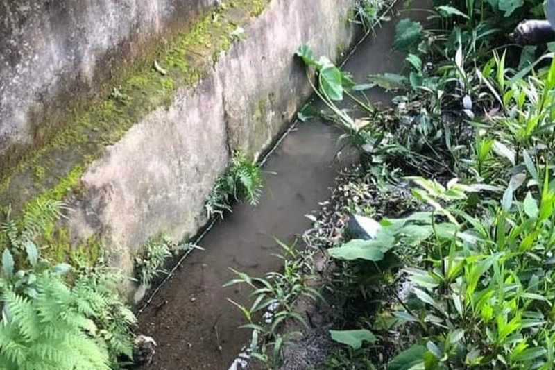 Bố tử vong khi đưa đ&oacute;n con đi thi - Ảnh 1.