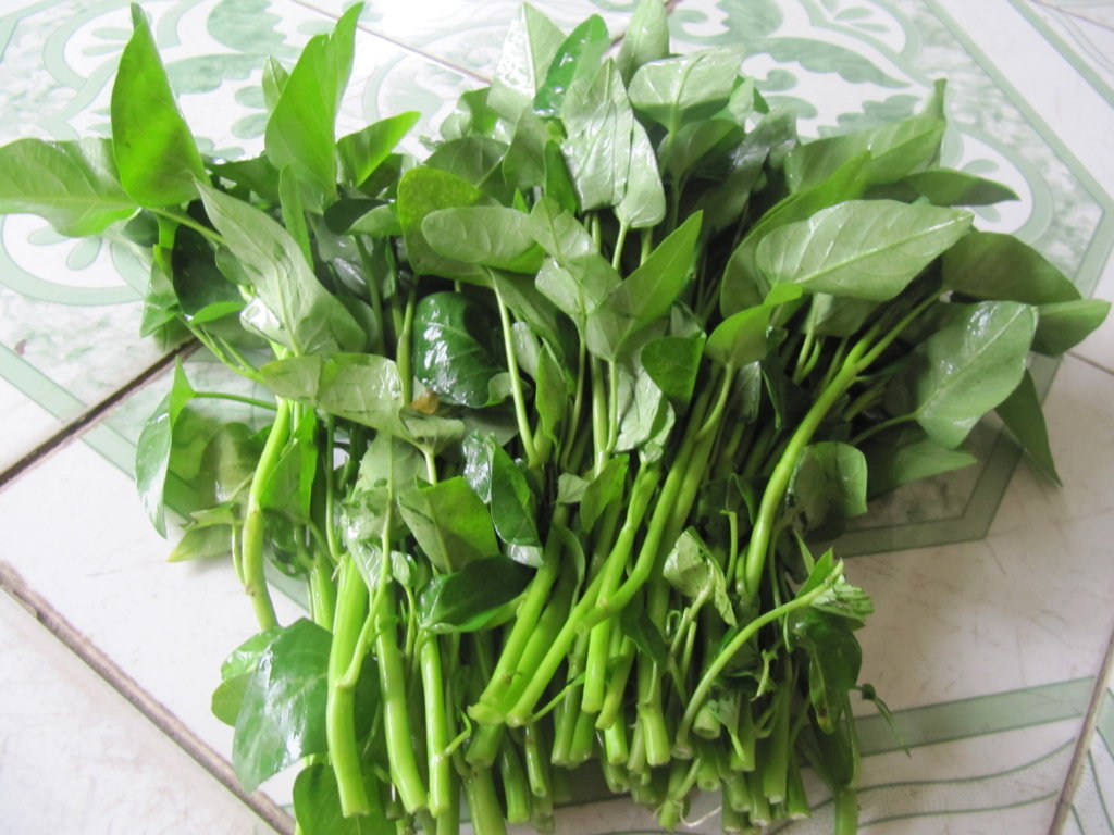 Thói quen ăn rau muống gây hại cho sức khỏe nhưng nhiều người Việt ...