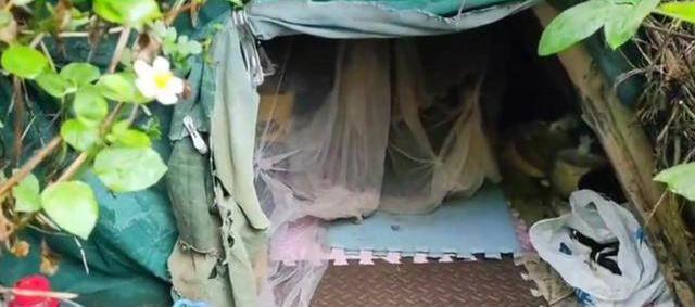 Người đàn ông sống trên núi 20 năm, dựng bạt làm nhà - Ảnh 1. Người đàn ông sống trên núi 20 năm, dựng bạt làm nhà - Ảnh 1.