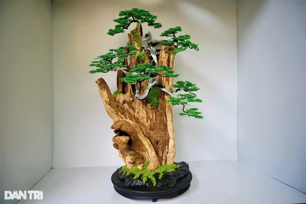 Bỏ việc nghìn đô la, kỹ sư về làm bonsai &quot;bất tử&quot; bán cho đại gia - Ảnh 3.