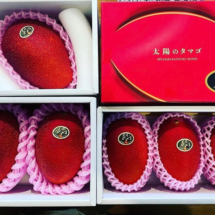 Hơn 2 triệu đồng/quả xo&agrave;i m&agrave;u đỏ, nh&agrave; gi&agrave;u Việt chi tiền &ldquo;ăn sang&rdquo; - Ảnh 8.